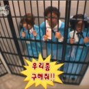 신규동물병원 이미지