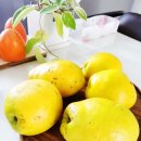 정직한 피트니스 이미지