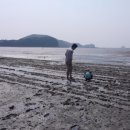 대부도 해바다펜션 이미지