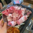 돈우팜