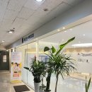 서울웃는아이치과의원 네이버블로그
