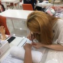 네일하시게 이미지