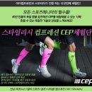 스포티아