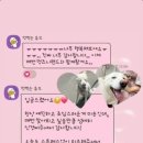 멍즈니랜드 이미지