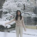 겨울 맞이 위시리스트 (2) ㅣ아비에무아• 플랜트샵• 유에르• 리즈• 그레이룸• 시에• 르플레인...