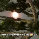 삼월 티스토리