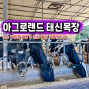 예산 당진 여행 가볼만한곳 아그로랜드 태신목장 입장료 할인