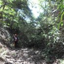 구불2길(햇빛길) 이미지