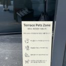 벅스 | 목포카페 애견동반카페 레이디벅스 터미널점 후기