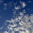 장호비치캠핑장 | [동해 캠핑] 장호비치오토캠핑장 후기 바다뷰 캠핑장 차박 추천 급떠난 감성캠핑