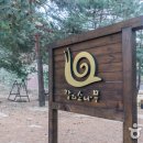 강과소나무 이미지