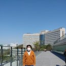 서울대학교병원