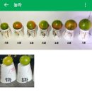 강인한농장 이미지