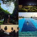 (주)사조그랜드리조트 | 제주도 서귀포 리조트 9월 제주도 가족여행 호텔 소노캄 제주 실내 수영장 숙소