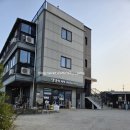 달려봐요 댕댕이 숲 | [남해] 남해애견동반숙소추천, 댕댕이 애견펜션 블루 내돈내산 찐후기