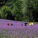 가을여행 이미지