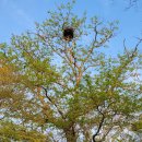 삼용1리 이미지