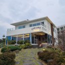 [제주 애견동반 식당] 델루버 솔직후기
