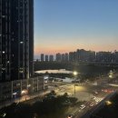 제플린푸드 이미지