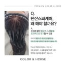 컬러하우스 이미지