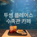 투썸커피숍 앞 | 경주 감포 수족관 투썸플레이스 아이와 이색 카페 평일 방문 후기