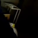 미냥이 Daum카페
