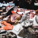 부산Fish 이미지