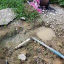 성광농장 이미지