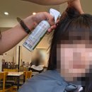 안동미용실 - 북구 | 안동 미용실 살롱 284 염색 후기