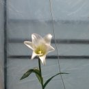 정호 농장 이미지