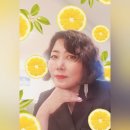 도봉-도봉-서울도봉-2246 이미지