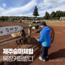 제주 이색체험 목장카페 밭디 조랑말타운 방문 후기