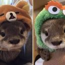 (주)수요일 이미지