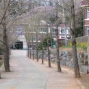 보령중학교 이미지
