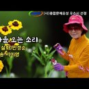 가을 오는 소리 / 시 설화/민경순 / 낭송 서미영 / 사단법인 종합문예유성 우수시 선정/ 영상제작 이미지