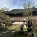 위드유산후조리원 | 김혜정산후조리원 연계 [위드유스튜디오 만삭촬영] 후기