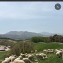 영우목장 이미지