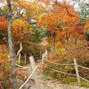 지천초등학교