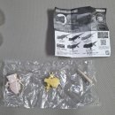 알비노랩 이미지