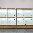 옥천애견미용 이미지