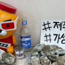 제주시동문공설시장 이미지