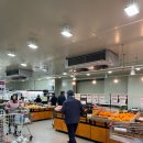 제주도 서귀포 하나로마트 후기! 내돈내산 서귀포 하나로마트 회 제주도 회 포장