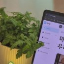 아키스케치 이미지