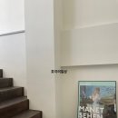 고색애견 이미지