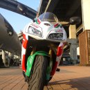 HONDA CBR 600RR LIMITED EDITION COLOR MOVISTAR(현재CASTROL) 이미지