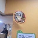 전원부식마트