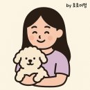 힐링 펫 카페 | 아이들과 함께한 힐링 시간, 제주 애견카페 펫다방 후기