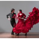 원어민 스페인어(기초) 이미지