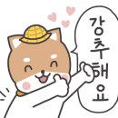 명화여행사 이미지