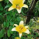 화원농장1 이미지